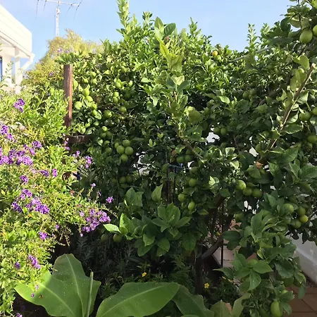 Luxury Oceanfront In - Next To Apartman